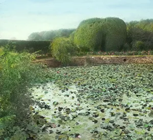 Lily Pad Prints: Oakland Farm, Alfred Gwynne Vanderbilt house