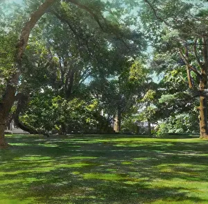Oakland Farm, Alfred Gwynne Vanderbilt house, East Main Road, Portsmouth, Rhode Island, 1914. Creator: Frances Benjamin Johnston. Oakland Farm, Alfred Gwynne Vanderbilt house, East Main Road, Portsmouth, Rhode Island, 1914