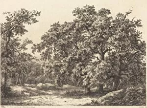 Blery Eugene Stanislas Alexandre Gallery: Oaks, 1840. Creator: Eugene Blery