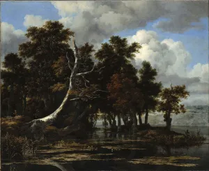 Oaks at a lake with Water Lilies. Artist: Ruisdael, Jacob Isaacksz, van (1628 / 29-1682)