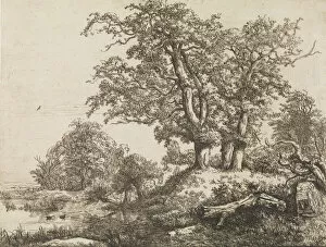 The Three Oaks, mid-17th century. Creator: Jacob van Ruisdael