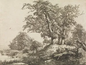 Second State Prints: The Three Oaks, mid-17th century. Creator: Jacob van Ruisdael