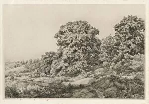 Ne Stanislas Alexandre Bl And Xe9 Collection: Oaks near a Pond, 1852. Creator: Eugene Blery