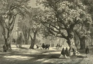 Pedestrian Prints: Oaks of Oakland, 1874. Creator: Unknown