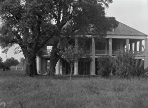 Three Oaks plantation, New Orleans, between 1920 and 1926. Creator: Arnold Genthe