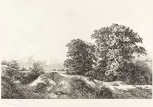 Oaks in the Vaux de Cernay, 1840. Creator: Eugene Blery