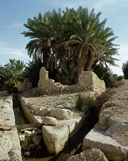Irrigation Prints: The Oasis of Palmyra, Syria, 1999. Creator: LTL