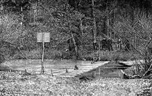 Obstruction Prints: Obstruction on the River Mole, near Esher, 1890. Creator: Unknown