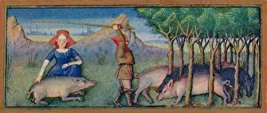 Acorns Gallery: October - feeding pigs on acorns, 15th century, (1939). Creator: Robinet Testard