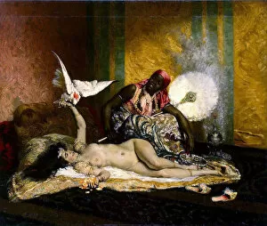 Images Dated 8th March 2011: Odalisque, 1870s