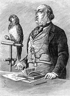 Odd Sketches at the Zoological Gardens: Birds of a Feather, 1881. Creator: Unknown