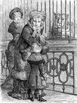 Big Cat Prints: Odd sketches at the Zoological Society's Gardens: the cat family