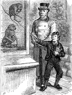 Odd sketches at the Zoological Society's Gardens: the monkeys, 1880. Creator: Unknown
