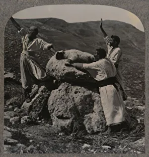 Offering sacrifice of lamb on Altar, Moreh, c1900 Offering sacrifice of lamb on Altar, Moreh, c1900
