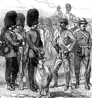 Animal Skin Prints: Officers and men of the 23rd Fusiliers in ordinary uniform and as equipped for the Gold Coast