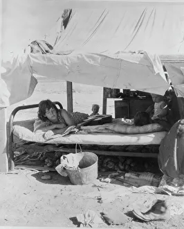 Potato Prints: Oklahoma potato picker's family encamped on the flats near Shafter