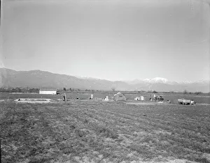 Settlers Prints: Oklahomans trying to make a new start in California