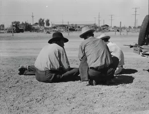 Americans Prints: Oklahomans now working or looking for work in the pea harvests of California