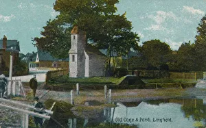 Poaching Prints: Old cage and pond, Lingfield, Surrey, c1905