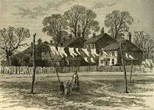 Old Cottages on Back Common, (c1878). Creator: Unknown