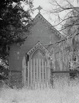 Tillandsia Usneoides Prints: Old Episcopal private church, now closed Louisiana, 1937. Creator: Dorothea Lange