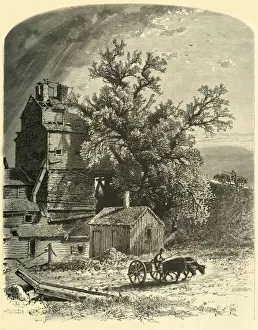Woodward John Douglas Prints: Old Furnace, at Kent Plains, 1874. Creator: John Douglas Woodward