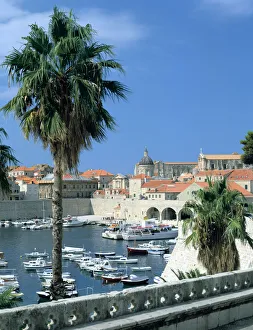 Marina Prints: Old harbour, Dubrovnik, Croatia