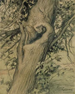 Weathered Prints: Old linden tree, 1903. Creator: Albert Edelfelt