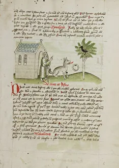 Foxes Prints: An Old Man Speaking to a Fox and a Magpie Sitting in a Tree; Fables