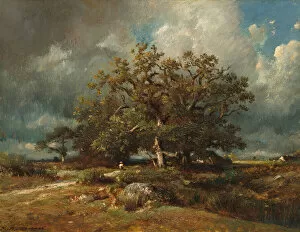 The Old Oak, c. 1870. Creator: Jules Dupré