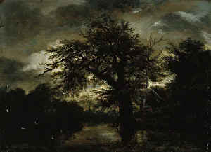 Oak Tree Prints: The Old Oak, c1648. Creator: Jacob van Ruisdael