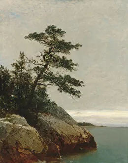 Darien Gallery: The Old Pine, Darien, Connecticut, 1872. Creator: John Frederick Kensett