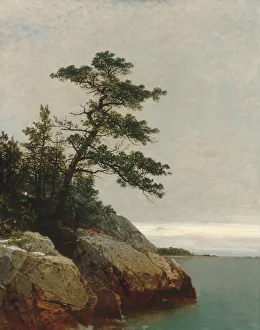 John F Prints: The Old Pine, Darien, Connecticut, 1872. Creator: John Frederick Kensett