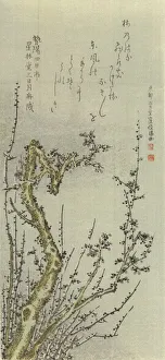Plum Blossom Prints: Old Plum Tree, 1796. Creator: Kubo Shunman