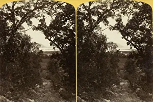 Bennett Henry Hamilton Gallery: Down the old Quarry Road near Frontenac on Lake Pepn, 1870 / 1908