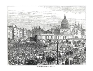Old Smithfield Market, 1878