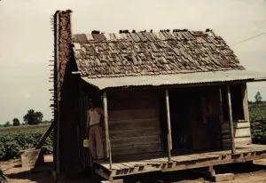 Slides Color Gmgpc Prints: An old tenant house with a mud chimney and cotton growing up to its door