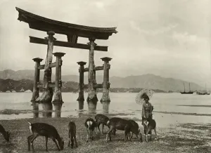 The Old Torii at Miyajima, 1910. Creator: Herbert Ponting