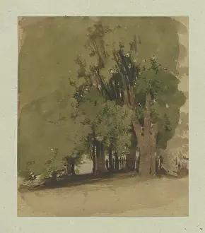 Aged Prints: Old trees at a fence, 1855. Creator: Carl Theodor Reiffenstein
