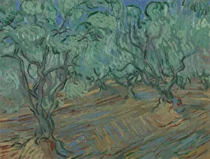 Blooming Prints: Olive grove, 1889. Creator: Gogh, Vincent, van (1853-1890)