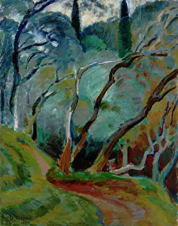 Olive Trees Prints: Olive Grove, 1920. Creator: Verner Thome