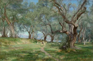 Olive Trees Prints: Olive grove in Mentona, 1893. Creator: Christian Zacho
