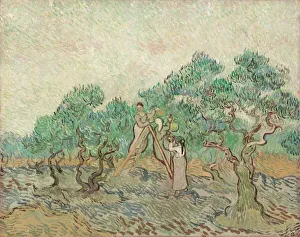 Gogh Vincent Van Prints: The Olive Orchard, 1889. Creator: Vincent van Gogh