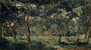 Images Dated 8th June 2010: Olive Orchard, early 1870s. Artist: Charles Francois Daubigny