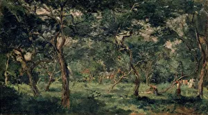 Olive Trees Prints: Olive Orchard, early 1870s. Artist: Charles Francois Daubigny