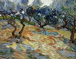 Blooming Prints: Olive Trees, 1889. Creator: Gogh, Vincent, van (1853-1890)