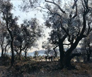 Olive Trees around Cap Martin, 1891. Artist: Emmanuel Lansyer