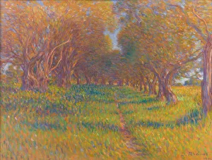 Provence Prints: Olive trees in Provence, 1902. Creator: Rheiner, Louis (1863-1924)