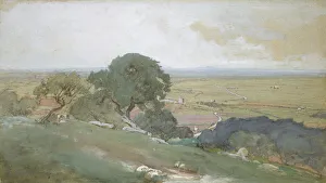Olive Trees at Tivoli, 1873. Creator: George Inness