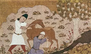 Islamic Art Gallery: Onager Milking, Late 15th century